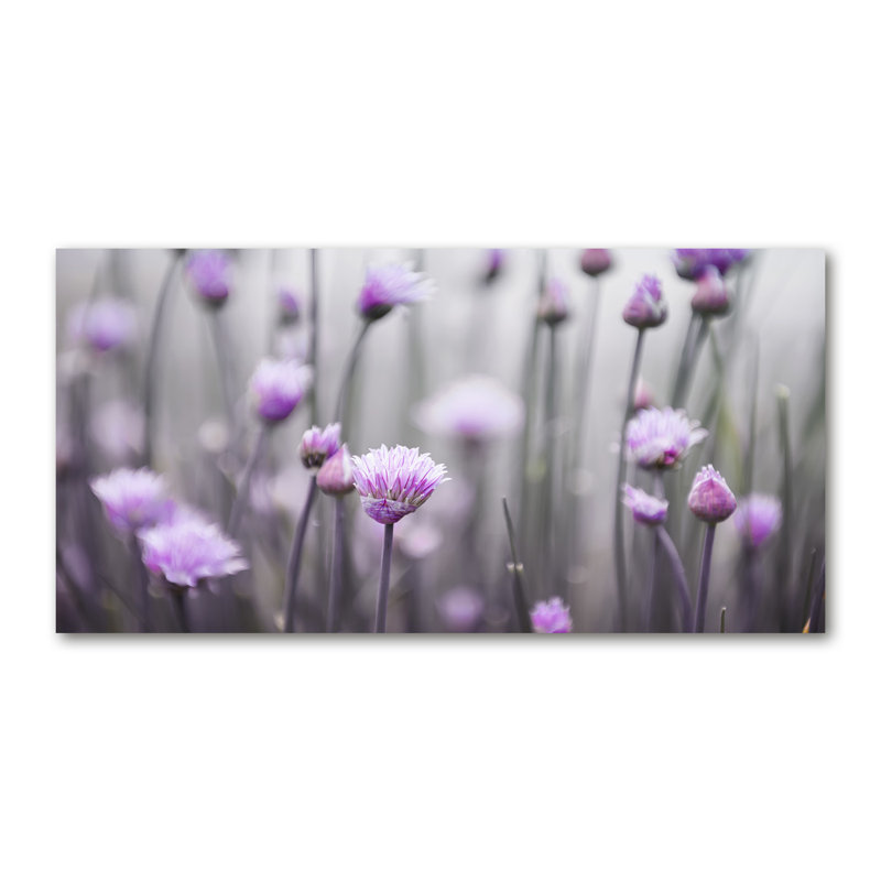 Flowers Of Chives - Wrapped Canvas Print, Canvas, 70cm H x 140cm W