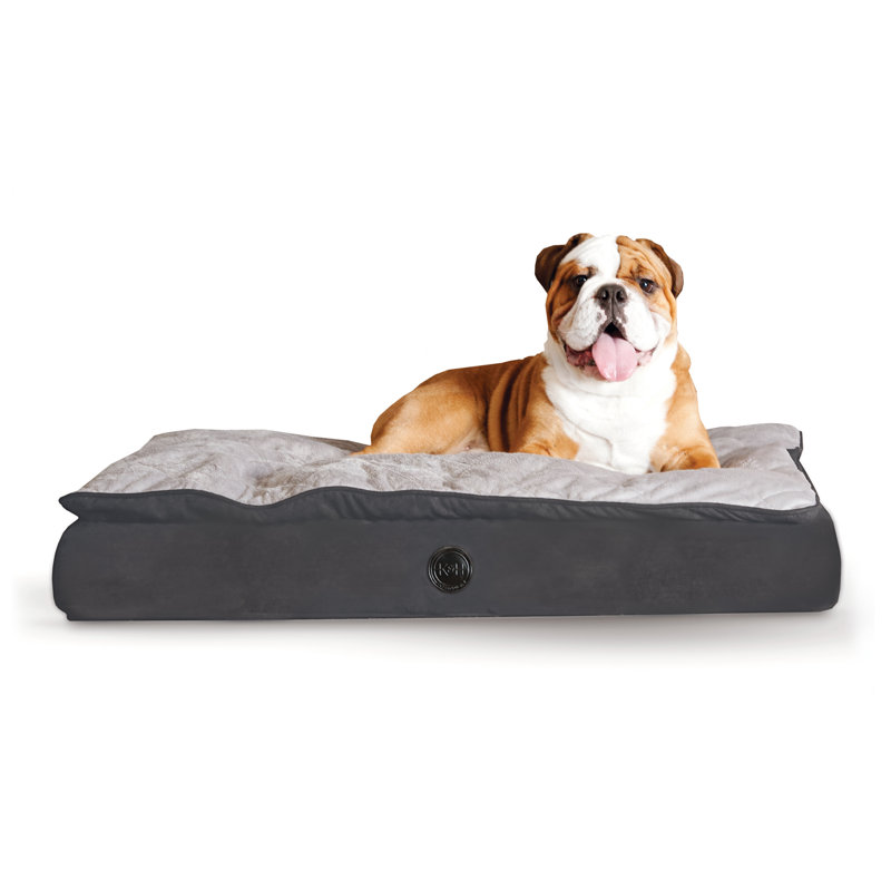 Coussin pour chien Feather, Petit (l 30 po x P 20 po x H 6,5 po), Noir/gris
