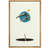 Jump-105806129-105806132