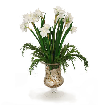 White Narcissus with Cedar in Glass Urn