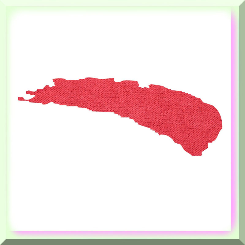 Crimson Canvas Coating 4oz Fabric Paint