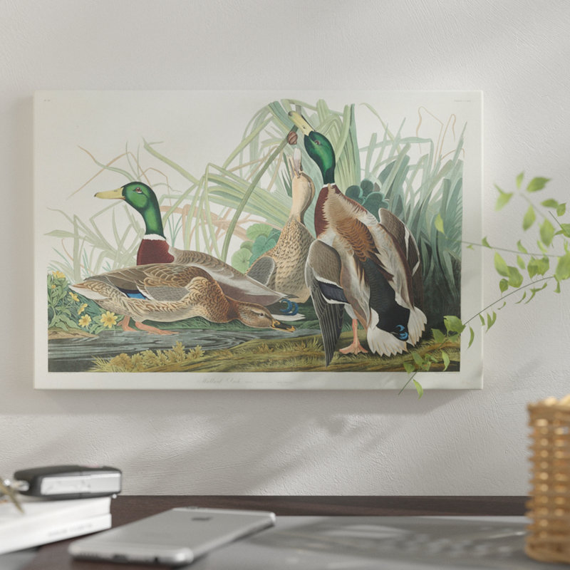 « mallard duck », impression sur toile, H 18 po x l 26 po x P 1,5 po, Toile tendue, Pas de tapis