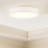 Raasch 1-Light LED Flush Mount-930126313-930126324