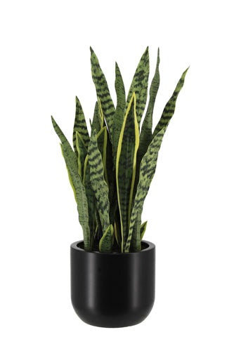 30" Artificial Snake Plants in Black Pots