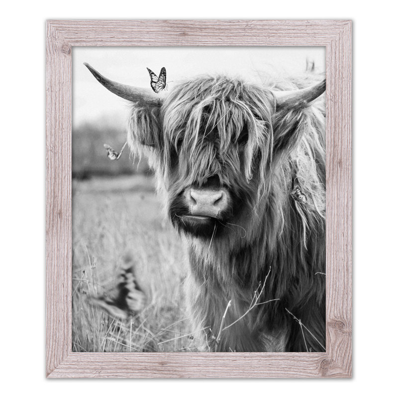 " Black And White Highland Cow "