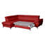 Ashianna 4 Seater Sofa Bed-1685312961-1685312966