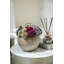 Elias Sedum Arrangement-960222570