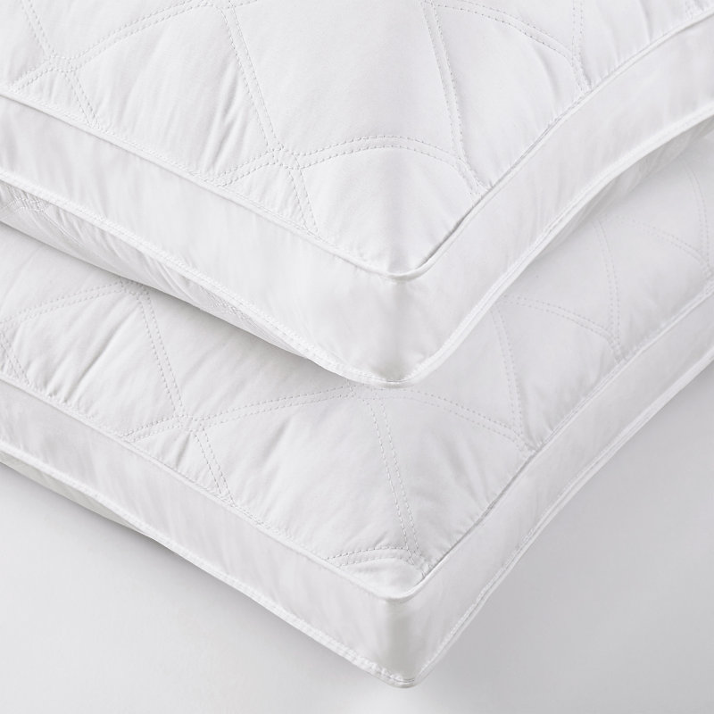5% Grey Goose Down Feather Pillow, H 18 po x l 34 po