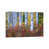 Wrapped Canvas