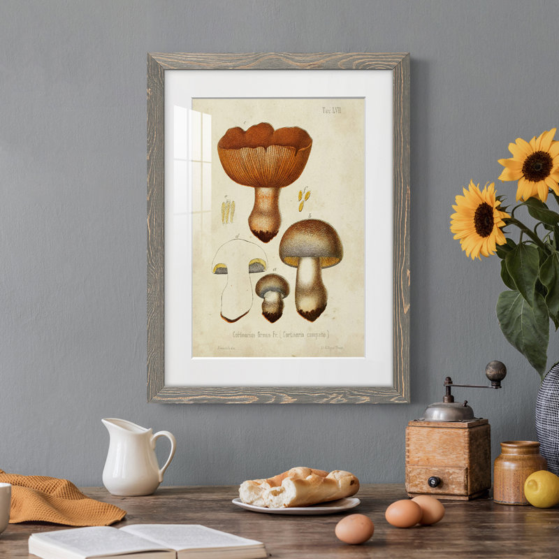 Champignon Variétés I encadré mat - prêt à accrocher, H 38 po x l 28 po x P 1 po, Cadre gris