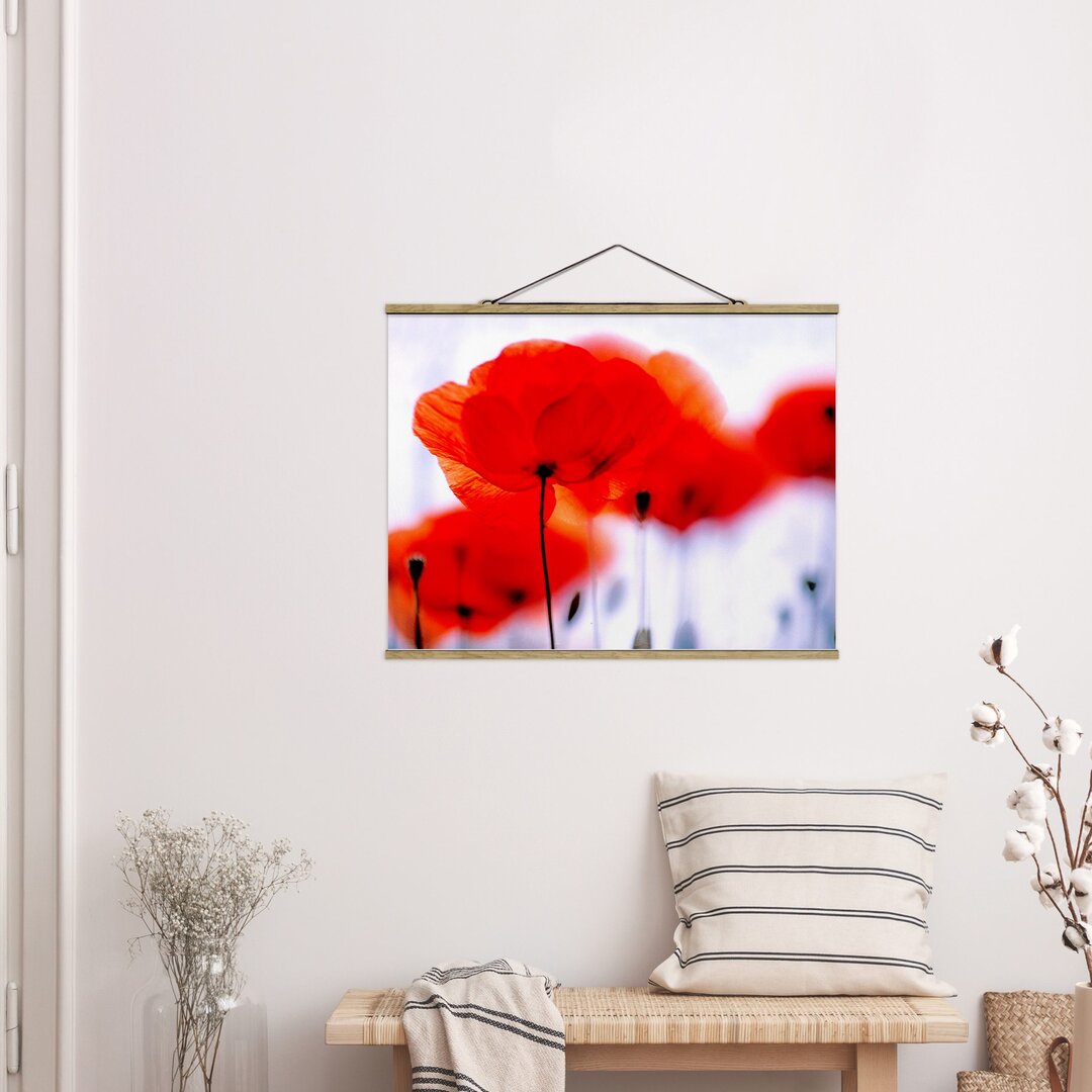 Grafikdruck Magic Poppies