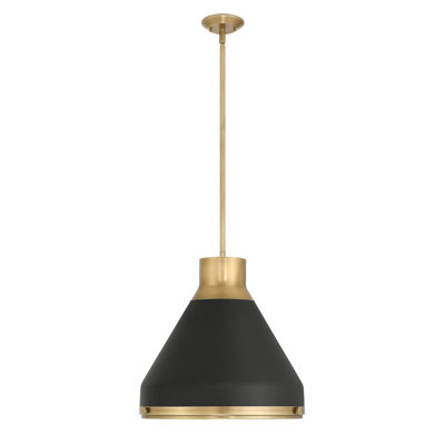 Luminaire suspendu en laiton naturel de 1 pouce avec abat-jour en métal noir Norbert