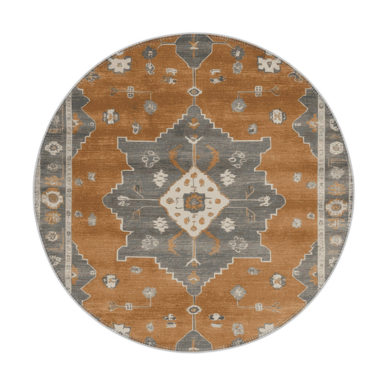 Tapis intérieur et extérieur brun Overdyed, Rond 5 pi