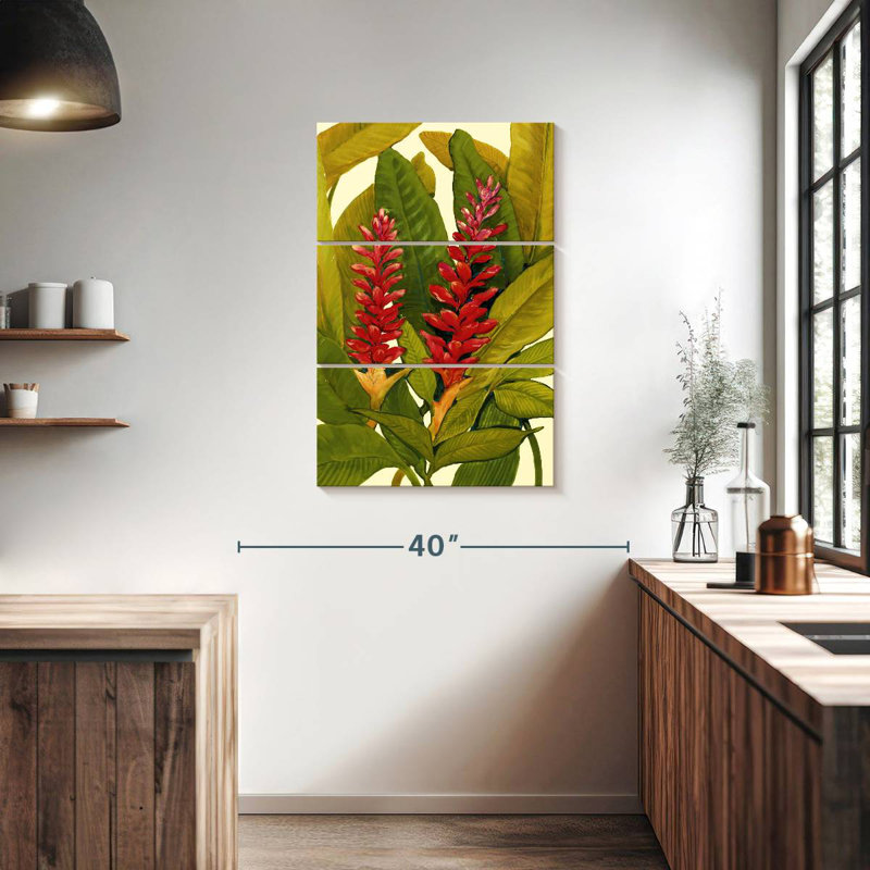 Gingembre rouge Harnek, H 38 po x l 24 po