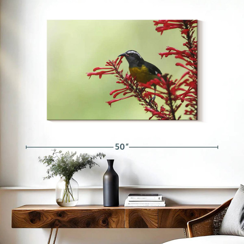 Ronce nourrissant un oiseau bananier, H 26 po x l 39 po