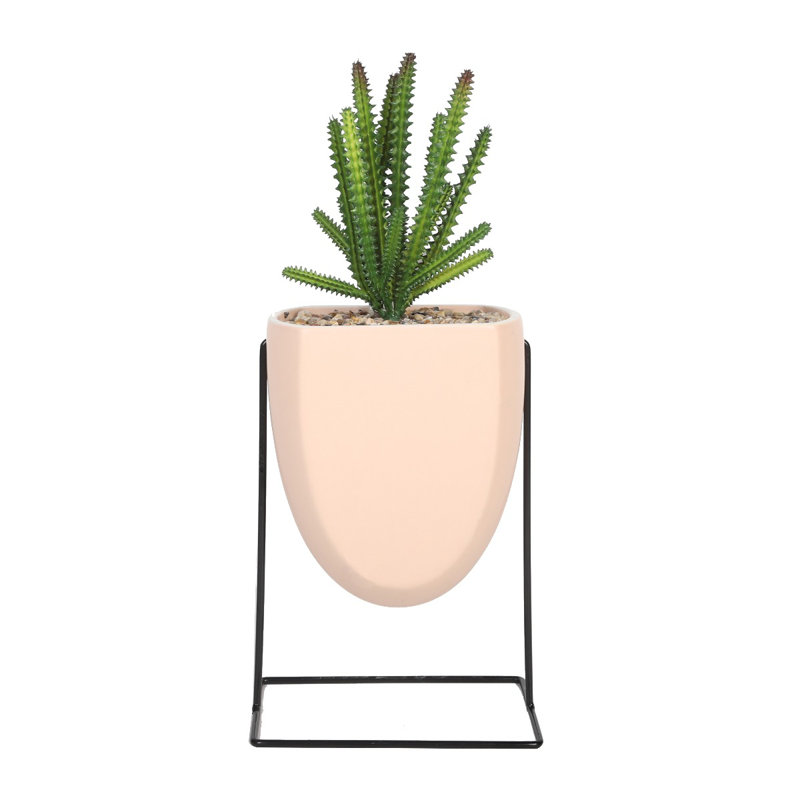 5.91cm Faux Cactus Succulent in Ceramic Pot