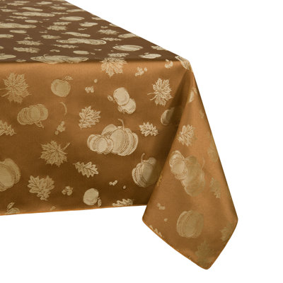 Nappe Leighlynn