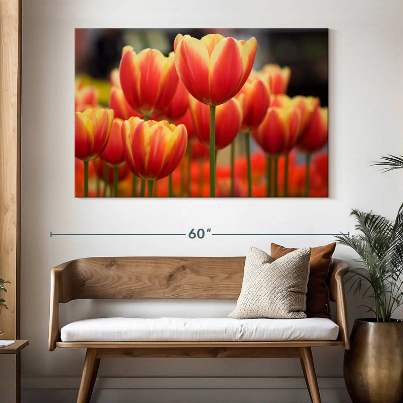 Harnek Darwin Hybrid Tulips, 34" H x 51" W