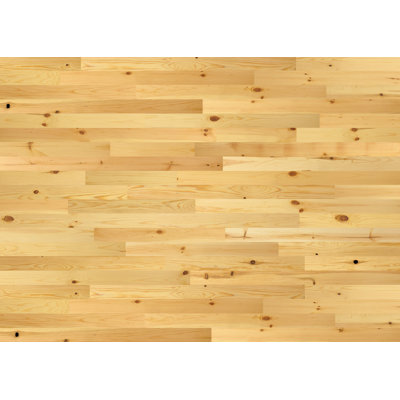 Planches murales en bois Timberchic Pine