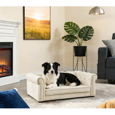 Canapé-lit pour chien durable