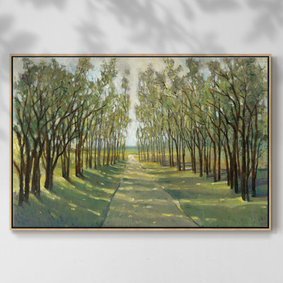 " Forest Path "