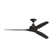 Spitfire 60 Inch Indoor/Outdoor Propeller Ceiling Fan with Remote Control