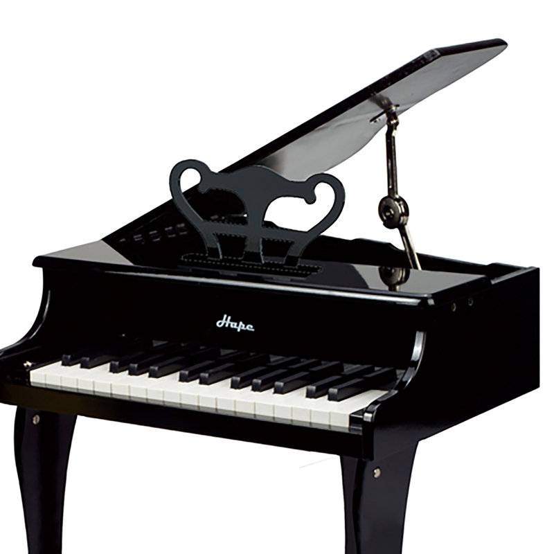 Jouet pour instruments de musique Happy Grand