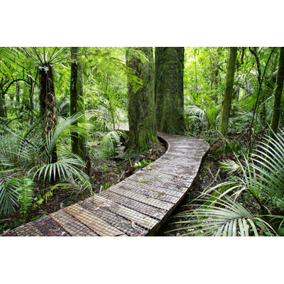 " Wooden Trail Through Forest " by Stillfx