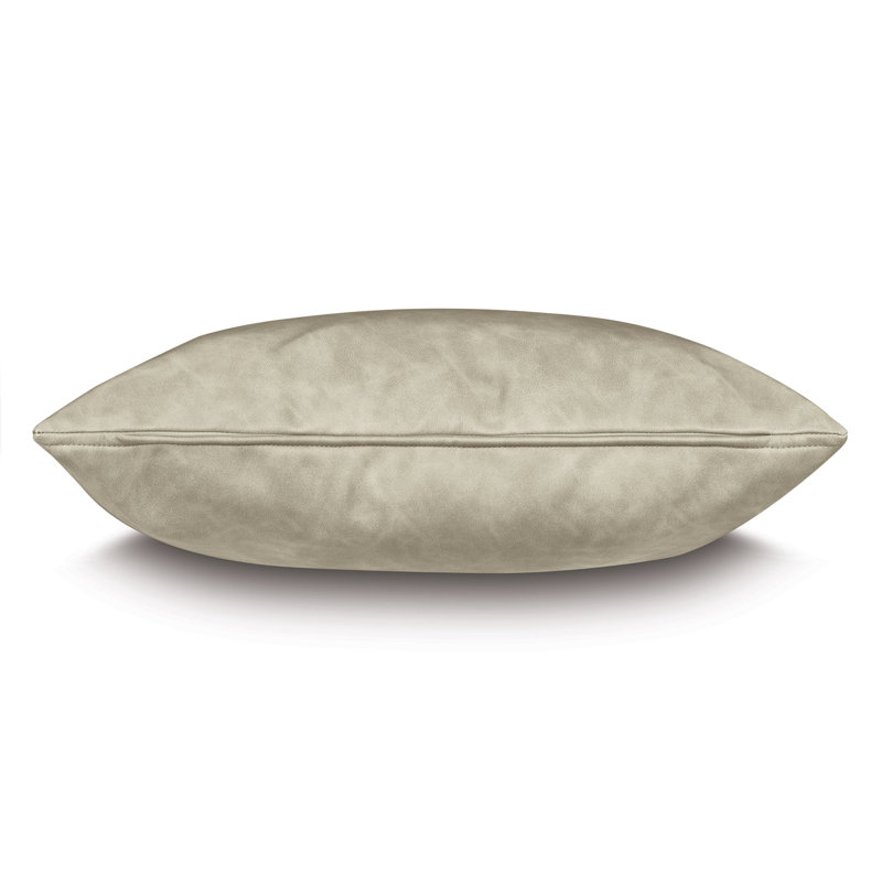 Evelina Faux Leather Decorative Pillow, Square 22"