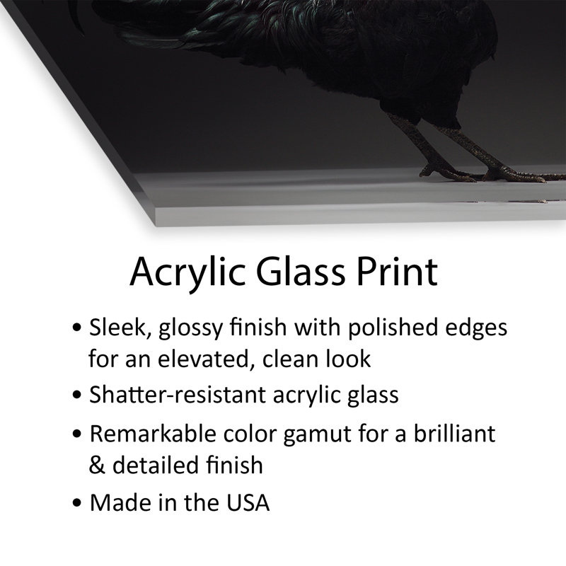 " Ayam Cemani " by CHICken