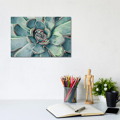Teal Succulent by Susan Bryant - Gallery-Wrapped Canvas Giclée on Canvas