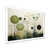 Cadre simple blanc