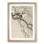 Tits on a Cherry Branch by Ohara Koson - Framed Print-55611103-55611100