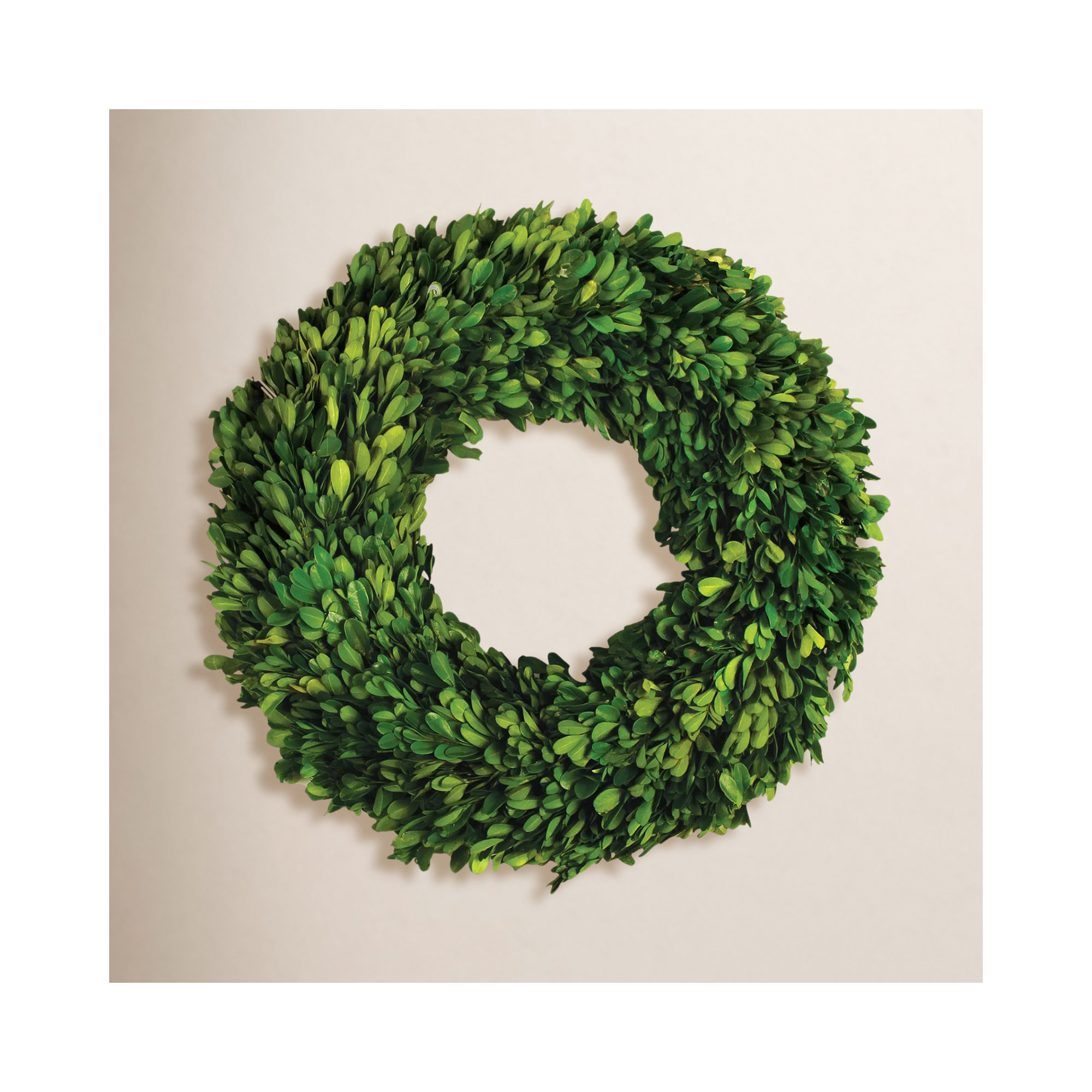 Alby Preserved Boxwood Wreath, 16" H x 16" W x 2.75" D