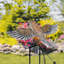 Jeu de jardin oscillant robin Aaralyn