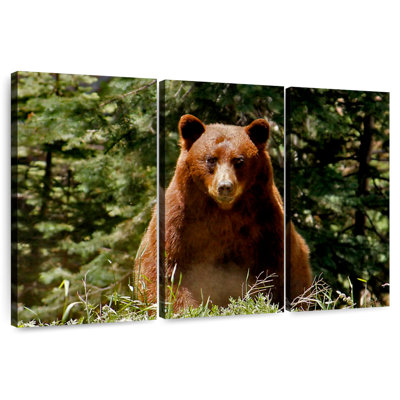 Brampt Yosemite Bear