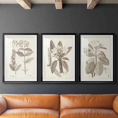 Antique Sepia Botanicals VI  -Custom Framed  Premium Print W Matt - 3 Pieces