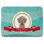 Dohnovan Memory Foam Non-Slip Bath Rug