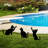 Elegant Black Decorative Garden Object Set (3 Pieces) | 100% Metal, Thickness: 0.06 inches | Sizes: 11.8 x 16.9 inches, 11.8 x 10.2 inches, 15.7 x 11.0 inches | No Assembly Required, Perfect for Enhancing Outdoor Spaces-1302352567
