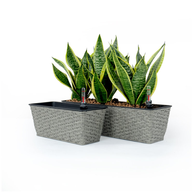 2-Pack Smart Self-Watering Wicker Planters - Indoor Outdoor Rectangle Rattan Planter Pots with Water Level Indicator, Gray