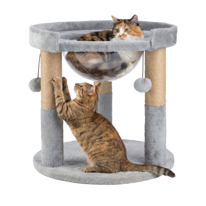 Arbre à chat avec poteau à griffer et poteau à griffer pour chat - 19 x 17 pouces, lit d'intérieur moderne pour chat avec hamac à bulles d'espace libre - Meuble pour animaux multifonctionnel (gris)