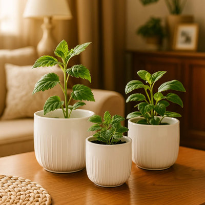3-Piece White Stoneware Planter Pot Set With Vertical Groove Texture