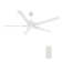 60'' 5-Blade LED Smart Standard Ceiling Fan With Light Kit Included, Remote Control 