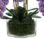 Faux Orchid Arrangement in Glass Vase with Moss