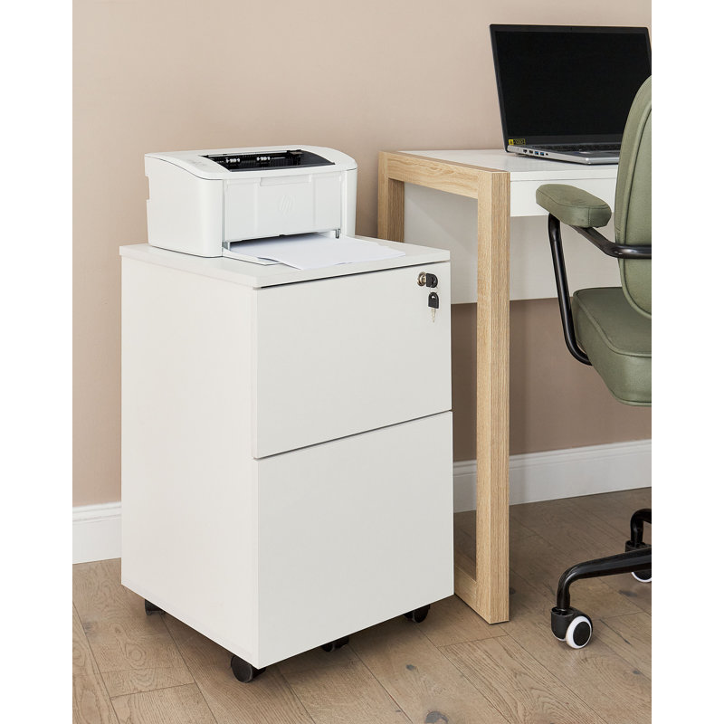 Waldschmidt 2 -Drawer Storage Cabinet