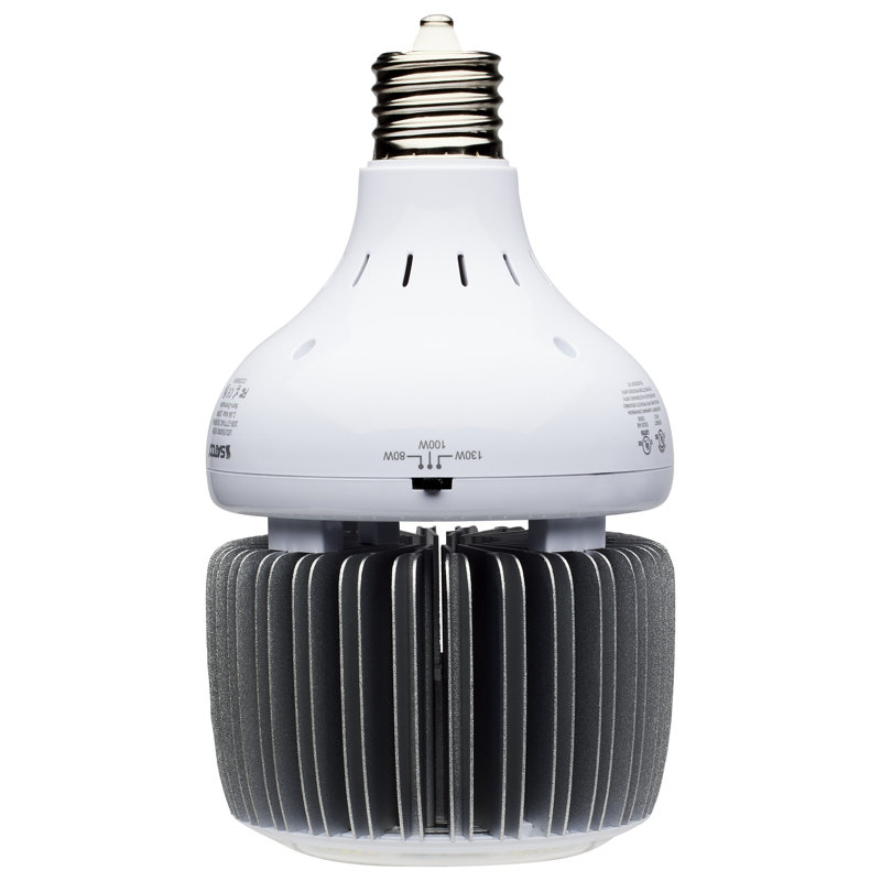 Ampoule DEL à intensité variable de 130 watts, 5000