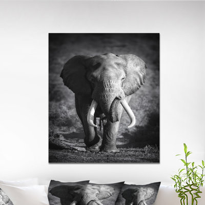« éléphant bull », reproduction d’impression sur toile tendue