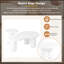 Ensemble de 2 tables basses gigognes faciles à assembler, de couleur crème avec une petite table d'appoint ronde, une table centrale irrégulière avec des pieds épais pour le salon, blanc, 39,3 po x 13,7 po, 15,7 po