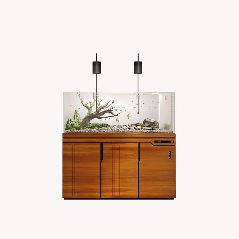 Aquarium filtré écologique ultra-transparent