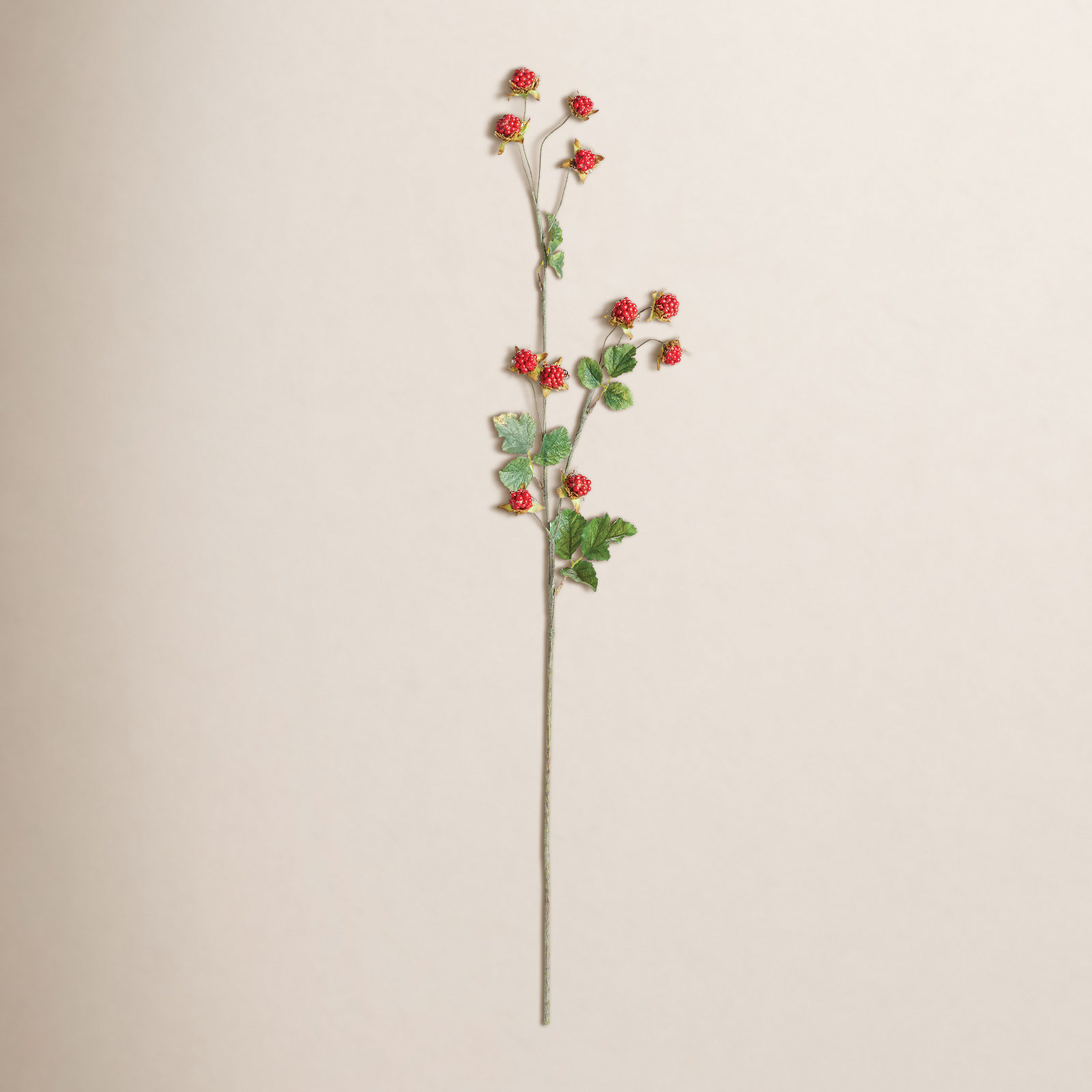 Wild Blackberry Stems, Red